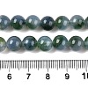 Dyed Natural White Jade Beads Strands G-T138-8mm-2104-5