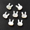 Natural White Shell Beads SHEL-G014-12-1