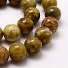 Round Natural Dragon Blood Jasper Beads Strands G-K072-8mm-3