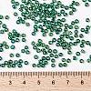 MIYUKI Round Rocailles Beads SEED-X0055-RR0354-4
