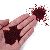 15/0 Transparent Czech Glass Seed Beads SEED-N004-004-28-5