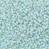 TOHO 11/0 Round Beads X-SEED-TR11-PF2116-2