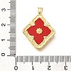 Brass Micro Pave Cubic Zirconia Acrylic Pendants ZIRC-D275-02G-02-3