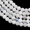 Natural Rainbow Moonstone Round Beads Strands G-E329-4-4.5mm-49-5