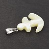 Natural Trochid Shell/Trochus Shell Pendants SSHEL-K027-13-3