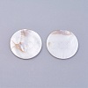 Shell Cabochons X-BSHE-P026-22-2