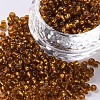 8/0 Glass Seed Beads X1-SEED-A005-3mm-22C-1