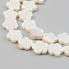 Electroplate Natural Freshwater Shell Beads Strands X-SHEL-T017-08-3