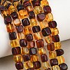 Two Tone Natural Amber Beads Strands G-K426-A03-04-1
