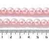Shell Pearl Bead Strands X-BSHE-L025-06-8mm-7