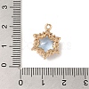 Brass with Cubic Zirconia Pendants KK-G499-15G-03-3