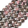 Natural Flat Round Rhodonite Beads Strands G-L246-10-5