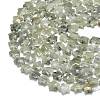 Natural Labradorite Beads Strands G-P573-C07-01-3