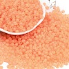6/0 Luminous Glass Seed Beads SEED-NH0001-01D-2