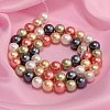 Shell Pearl Colorful Beads Strands X-BSHE-F013-14M-8mm-2