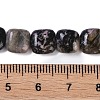 Natural Rhodonite Beads Strands G-M435-A06-01-5