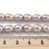 Natural Cultured Freshwater Pearl Beads Strands PEAR-P062-08J-5