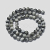 Natural Eagle Eye Beads Strands G-I281-02-4mm-3