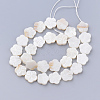 Natural Freshwater Shell Bead Strands X-SHEL-T001-A01-2