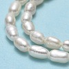 Natural Cultured Freshwater Pearl Beads Strands PEAR-J006-03E-4