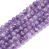 Natural Lepidolite/Purple Mica Stone Beads Strands G-K410-06-8mm-1