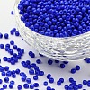 (Repacking Service Available) Glass Seed Beads SEED-C019-2mm-48-1