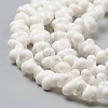 Natural Spiral Shell Beads Strands X-BSHE-I011-11C-3