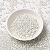 8/0 Transparent Glass Seed Beads SEED-F003-03B-07-2