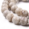 Natural Maifanite/Maifan Stone Beads Strands G-I187-8mm-01-7
