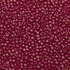 TOHO Round Seed Beads SEED-TR11-0165BF-2