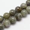 Natural Labradorite Bead Strands G-O155-05A-4mm-1