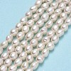 Natural Cultured Freshwater Pearl Beads Strands PEAR-J006-07C-3