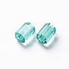 Transparent Acrylic Beads TACR-S154-27B-68-2