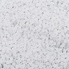 TOHO 11/0 Round Beads SEED-TR11-0141F-2