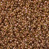 MIYUKI Round Rocailles Beads SEED-X0054-RR0345-3