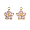 304 Stainless Steel Micro Pave Cubic Zirconia Charms STAS-B088-01G-01-1