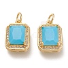 Brass Glass Charms X-ZIRC-F116-09D-G-1