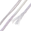 10 Skeins 6-Ply Polyester Embroidery Floss OCOR-K006-A16-3