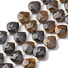 Natural Tiger Eye Beads Strands G-P570-E04-02-2