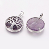 Natural Amethyst Pendants X-G-E388-09P-1
