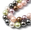 Shell Pearl Colorful Beads Strands BSHE-F013-14M-8mm-5