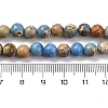 Dyed Natural Regalite/Imperial Jasper/Sea Sediment Jasper Beads Strands G-B124-C02-15-3