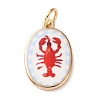 Printed Brass Enamel Pendants LS-KK-CBADFD5-04G-B-1
