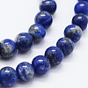 Natural Lapis Lazuli Beads Strands X-G-F561-6mm-G-3