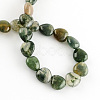 Natural Indian Agate Bead Strands G-R190-20mm-11-2