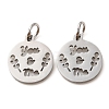 Non-Tarnish 304 Stainless Steel Charms STAS-D050-07P-13-1