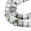 Natural Variscite Beads Strands G-T140-41A-3