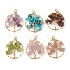 6Pcs 6 Styles Natural Mixed Gemstone Chip Pendants PALLOY-JF02595-1