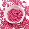 Baking Paint Glass Seed Beads X1-SEED-A032-02M-2