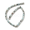Natural Larimar Beads Strands G-Q024-B03-04-3